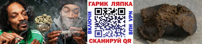 Купить где Городовиковск Гашиш VHQ