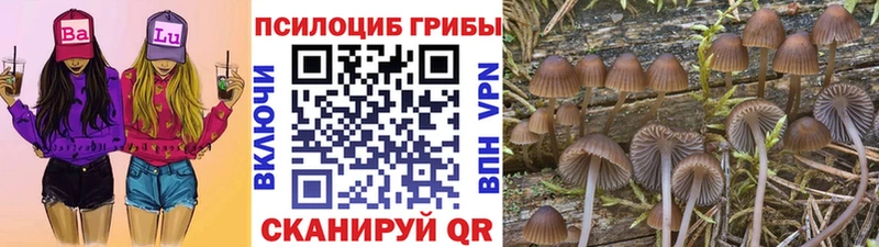 Купить  Городовиковск  Псилоцибиновые грибы прущие грибы 