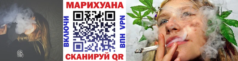 Купить закладки  Городовиковск  Каннабис сатива 